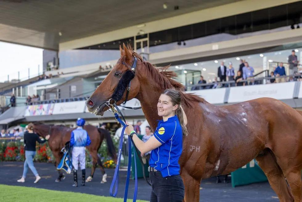 Two in a Row for Sir Kingsford